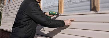 Best Historical Building Siding Restoration  in Centerville, CA